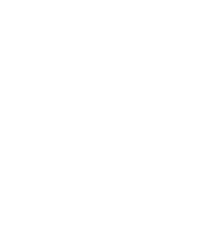 IGC FASHION